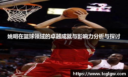 姚明在篮球领域的卓越成就与影响力分析与探讨