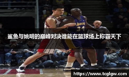 鲨鱼与姚明的巅峰对决谁能在篮球场上称霸天下
